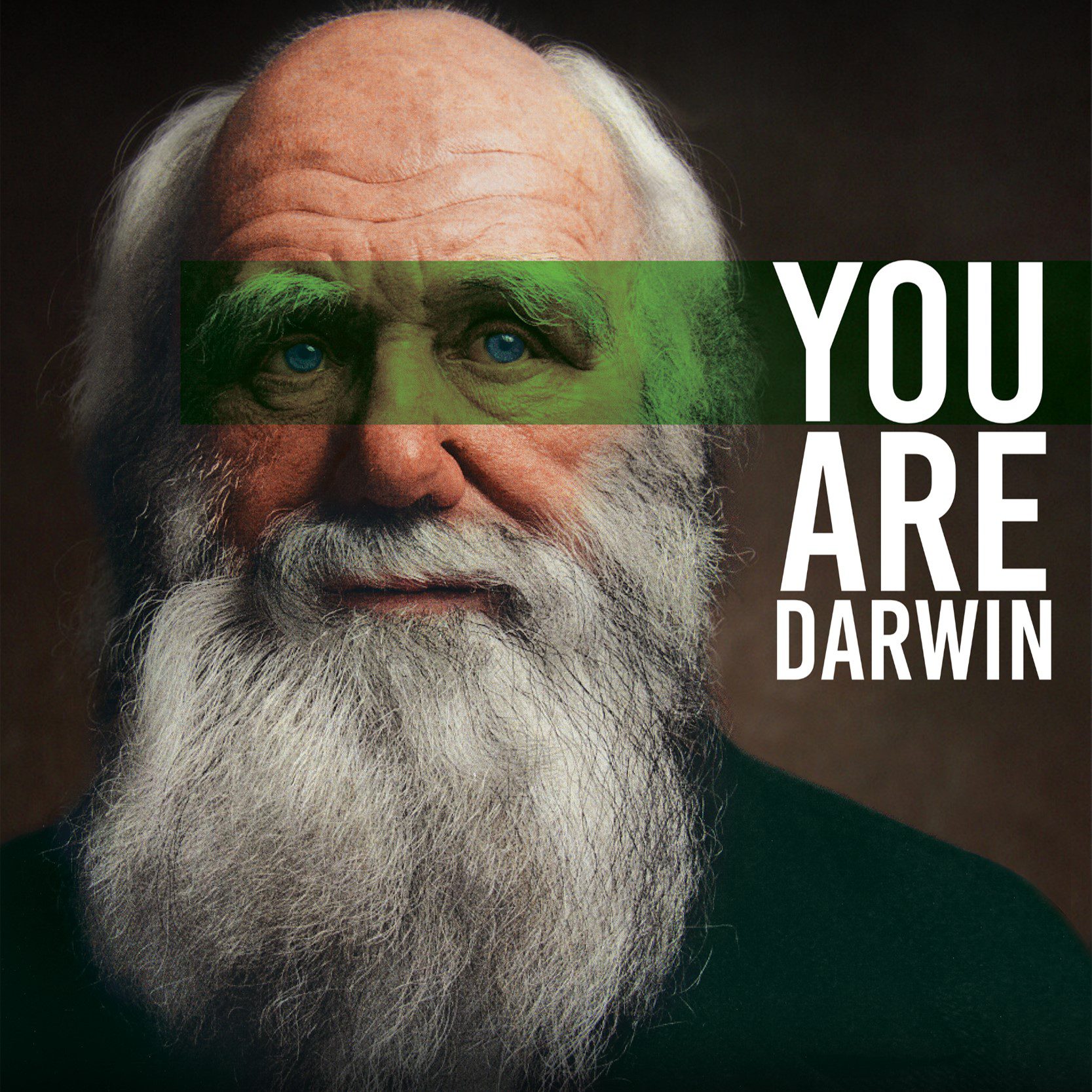 you are darwin